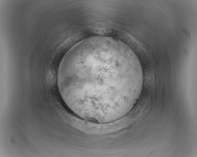 X0000112740043200909031515