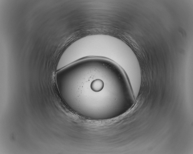 X0000112740045200909031515