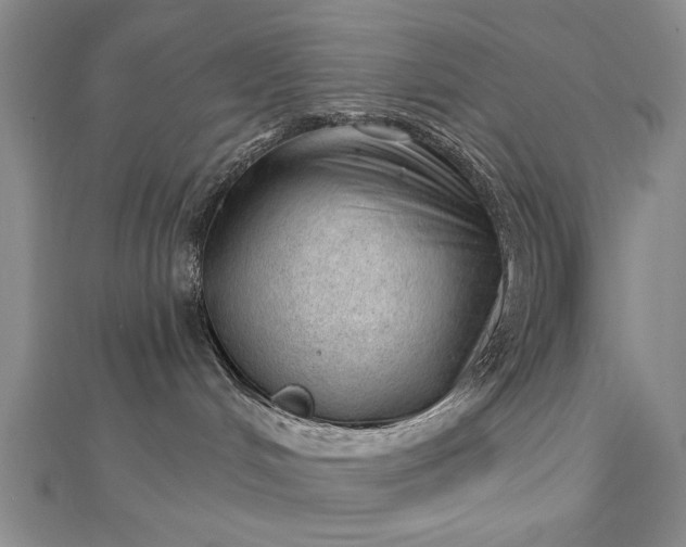 X0000112740048200909031515