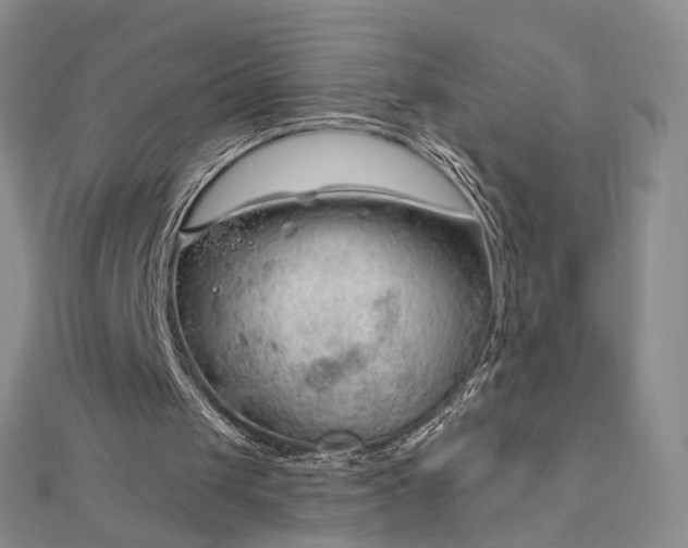 X0000112740049200909031514