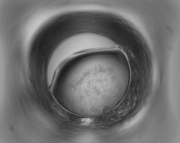 X0000112740050200909031514