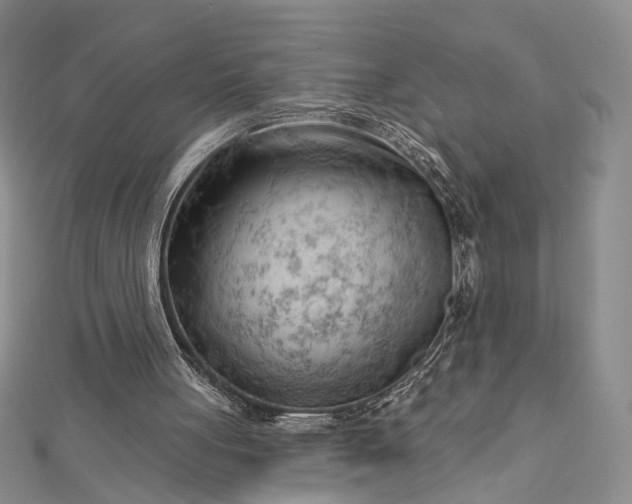 X0000112740051200909031514