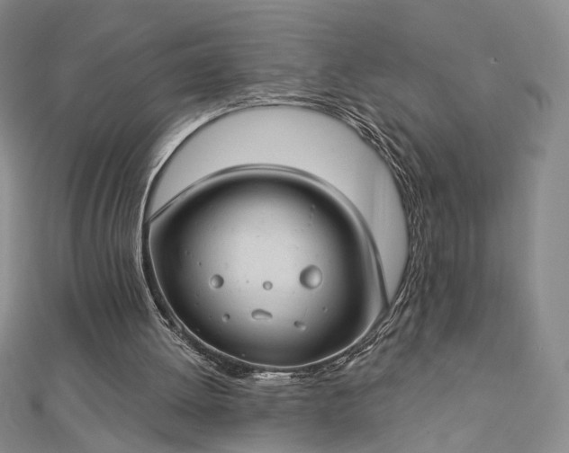 X0000112740052200909031514