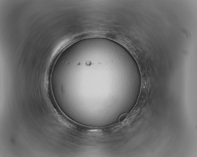 X0000112740053200909031514