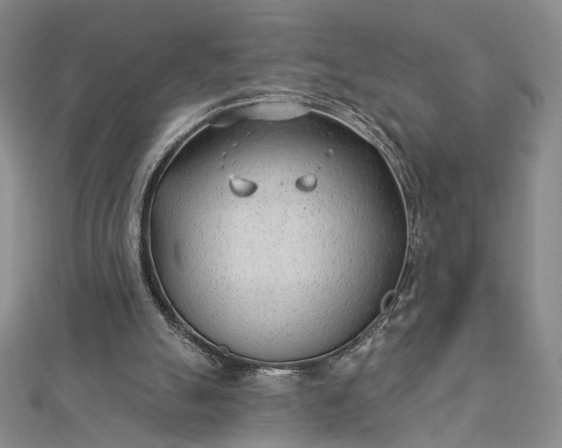 X0000112740055200909031514