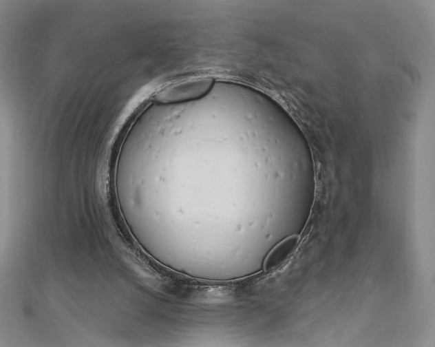 X0000112740056200909031514