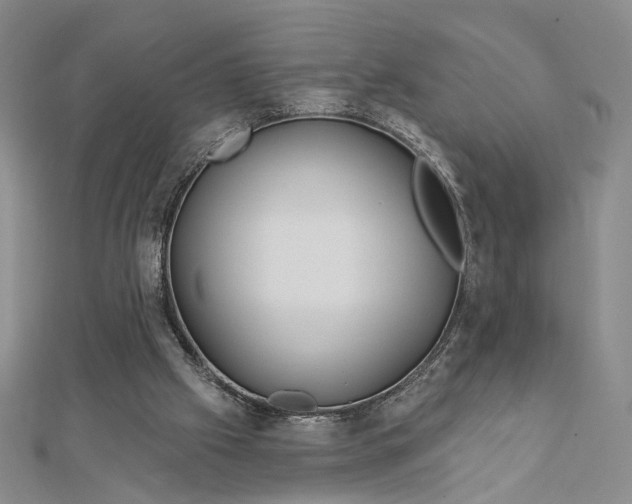 X0000112740057200909031514