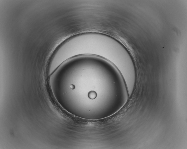 X0000112740060200909031514