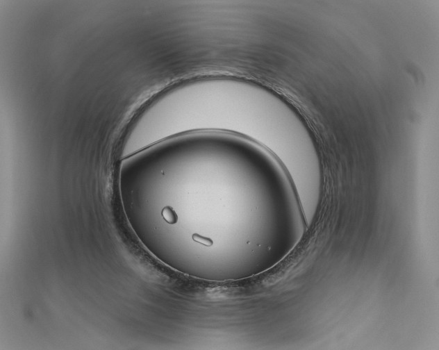 X0000112740064200909031514