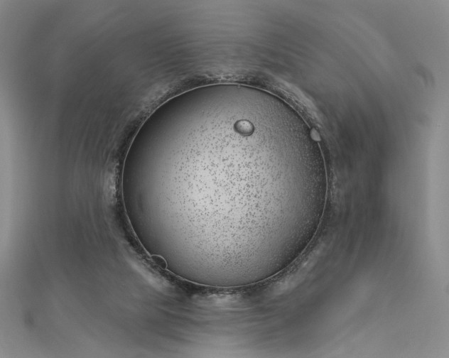 X0000112740065200909031514