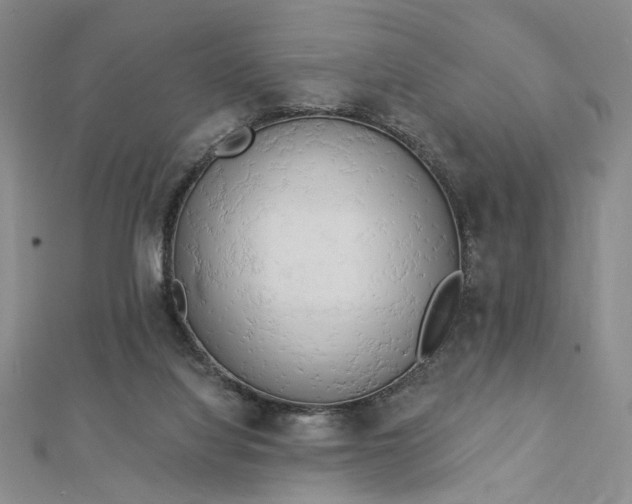 X0000112740068200909031514