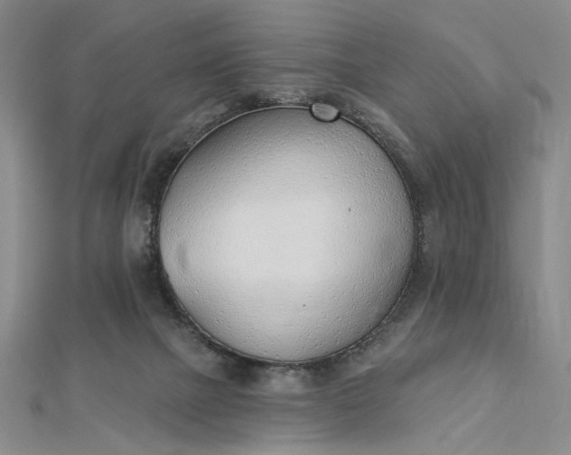 X0000112740073200909031514