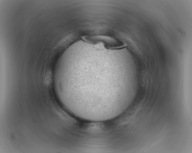 X0000112740077200909031514