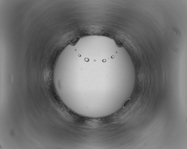 X0000112740079200909031514