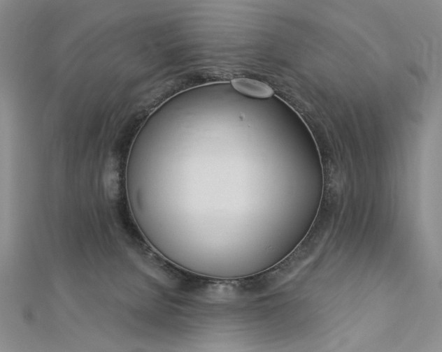 X0000112740080200909031515