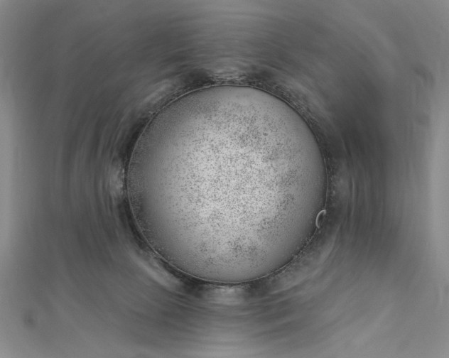 X0000112740081200909031515