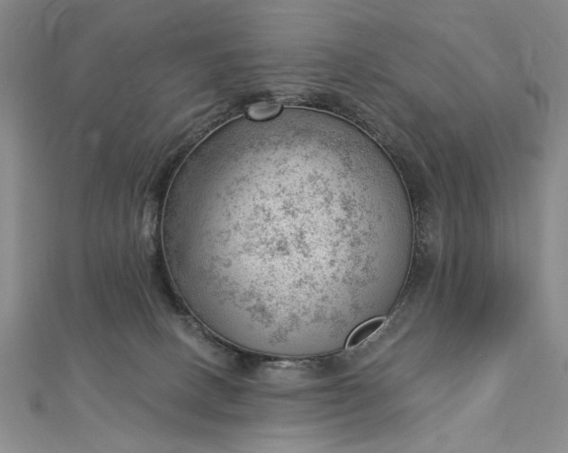 X0000112740082200909031515