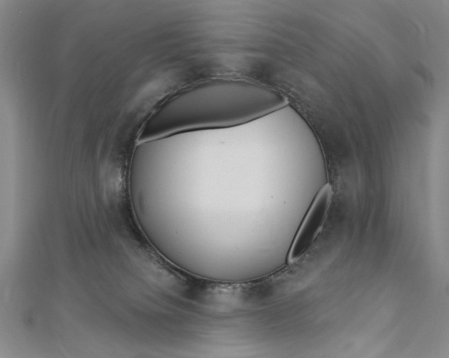 X0000112740084200909031515