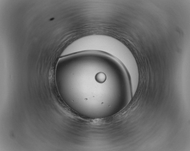 X0000112740092200909031515