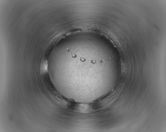 X0000112740095200909031515