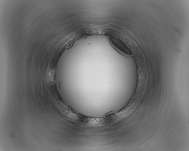 X0000112740096200909031515