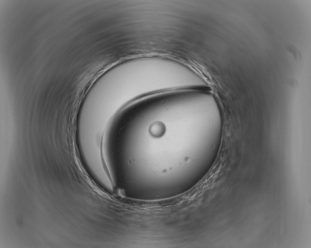 X0000112740097200909031514