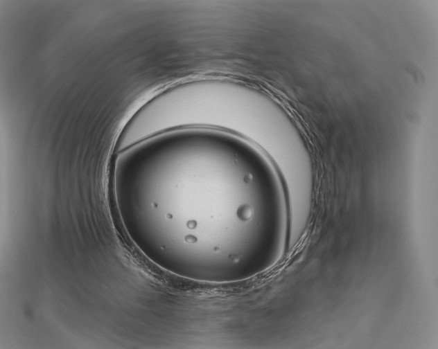 X0000112740100200909031514