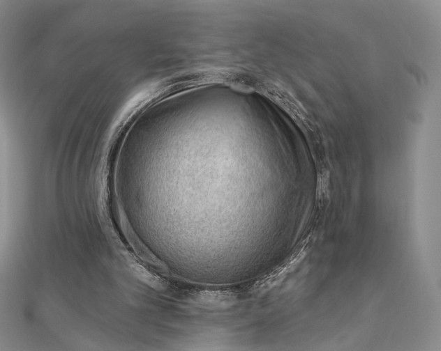 X0000112740101200909031514