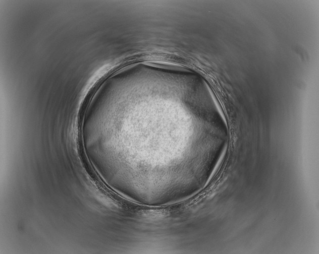 X0000112740102200909031514