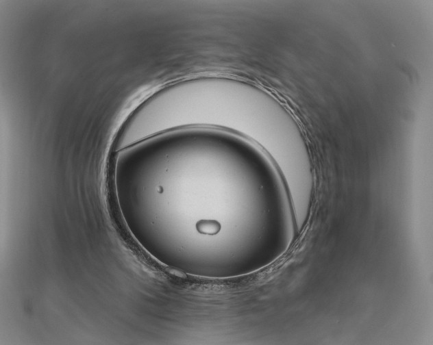 X0000112740104200909031514