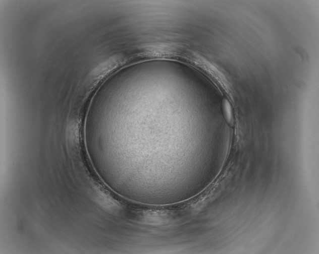 X0000112740105200909031514