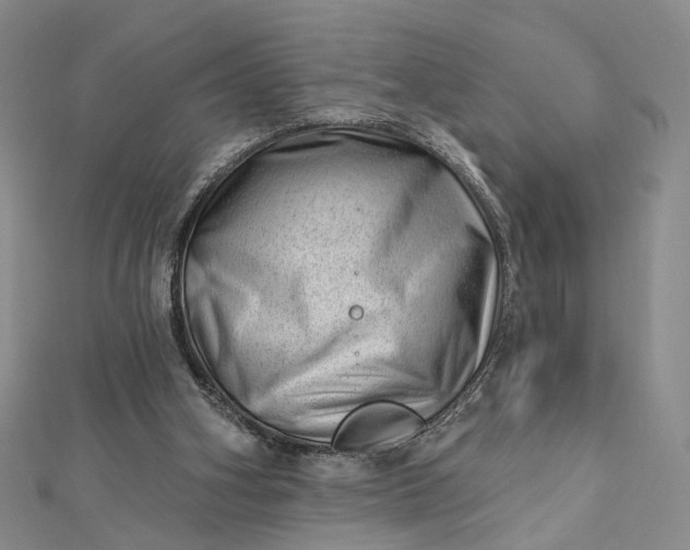 X0000112740106200909031514