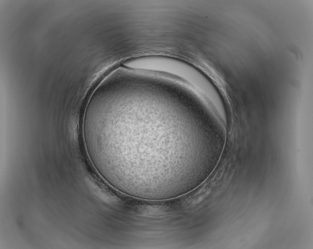 X0000112740107200909031514