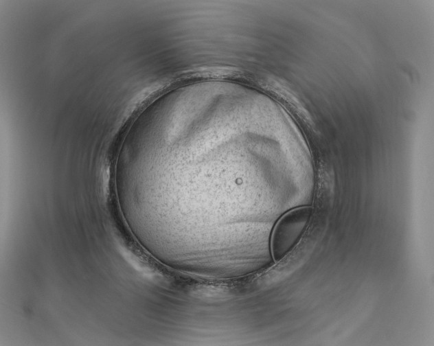 X0000112740110200909031514