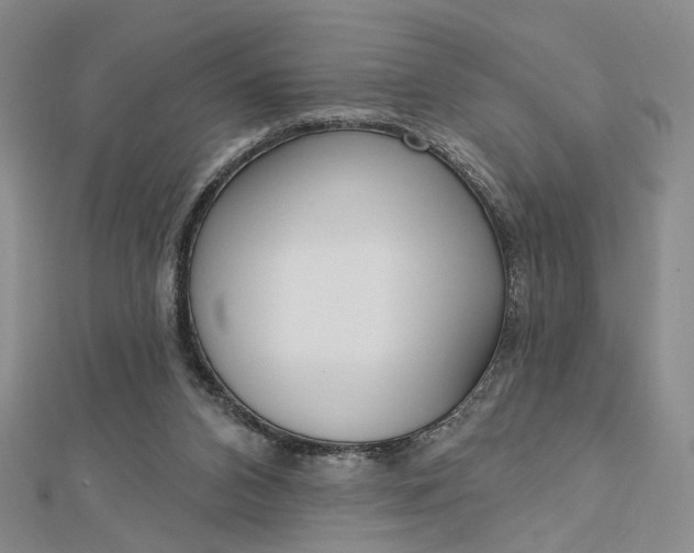 X0000112740112200909031514