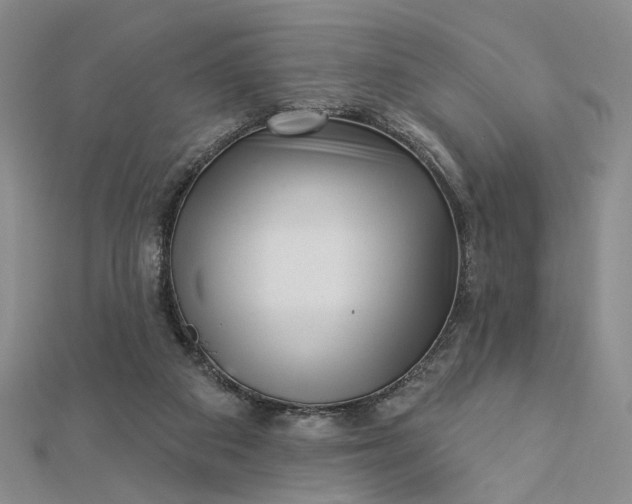 X0000112740113200909031514