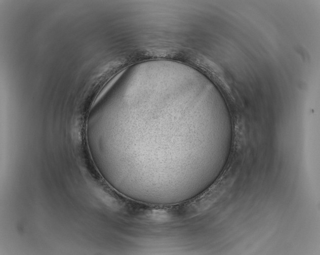 X0000112740114200909031514