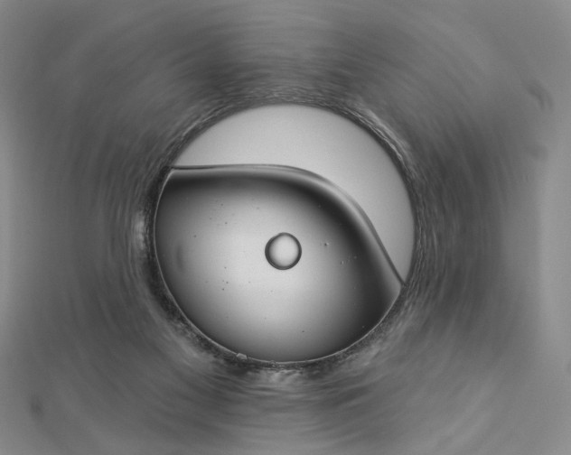 X0000112740117200909031514