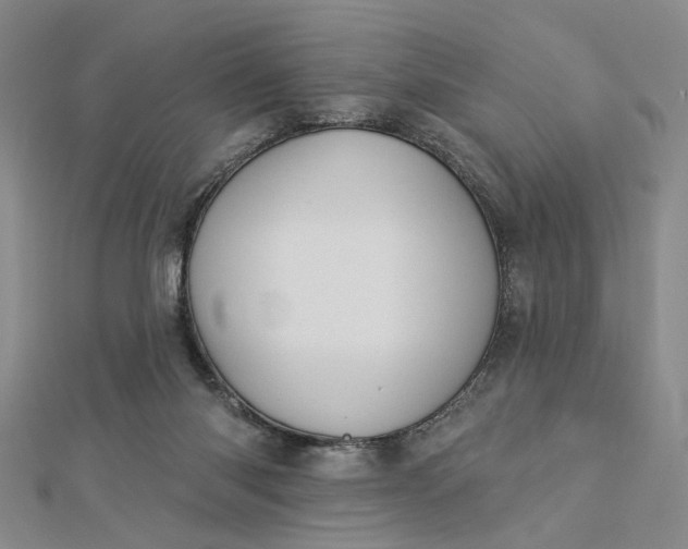 X0000112740118200909031514