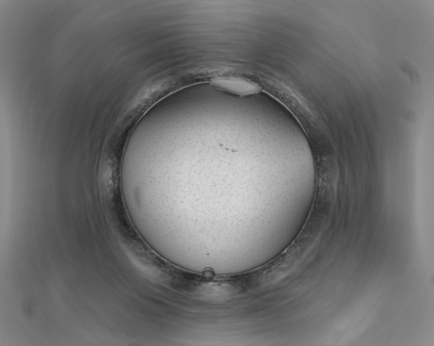 X0000112740119200909031514