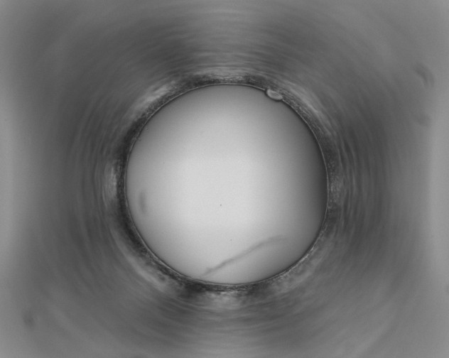 X0000112740120200909031514