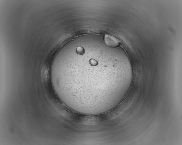 X0000112740123200909031514