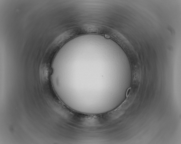 X0000112740124200909031514