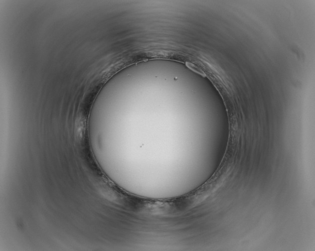 X0000112740125200909031514