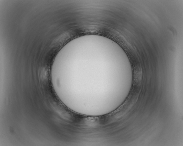 X0000112740126200909031514