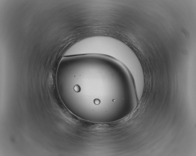 X0000112740128200909031514