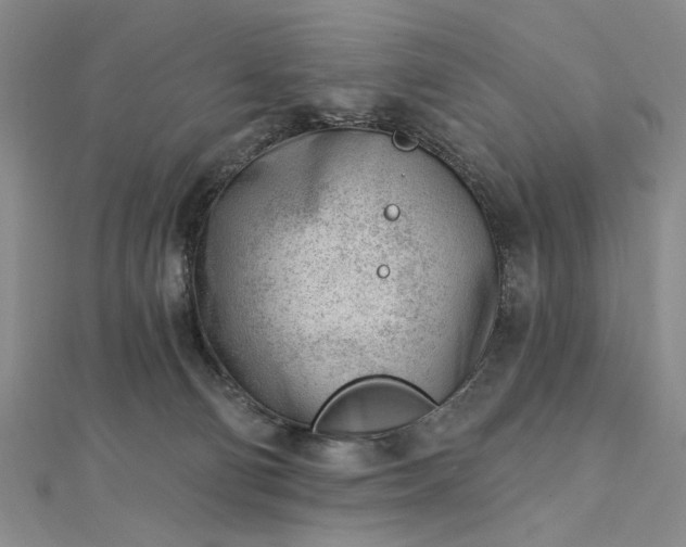 X0000112740130200909031514