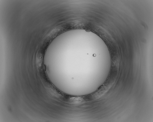 X0000112740133200909031514