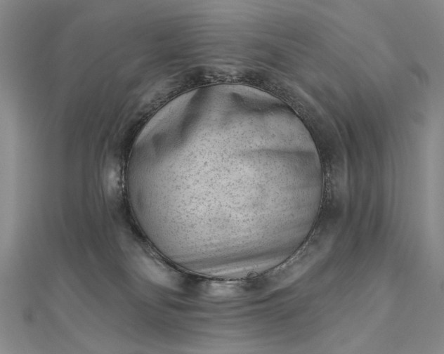 X0000112740134200909031514