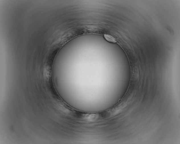 X0000112740135200909031514